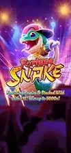 fortune snake